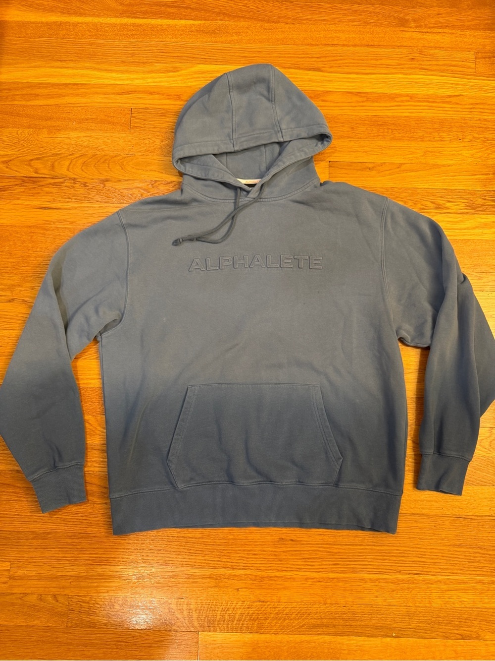 Alphalete Elements Hoodie Embossed Spellout in Blue Ombre - Size X-Large